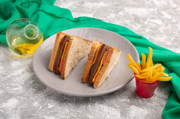 Front close view tasty toast sandwiches with cheese ham inside plate with french fries