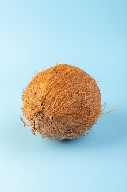 A front closed up view coco nuts whole milky fresh mellow isolated on the iced-blue background tropical exotic fruit nut