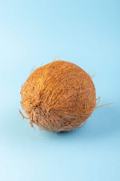 Фронт закрытый вид кокосовые орехи цельные молочно-свежие спелые, изолированные на синем фоне ледяной тропический экзотический фруктовый орех
