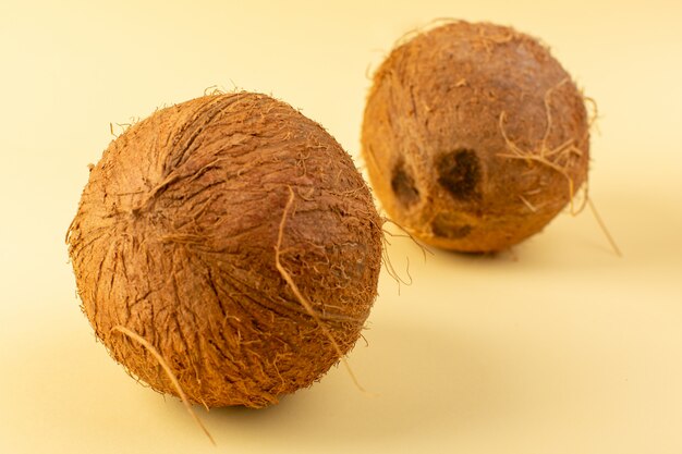 Фронт закрыл вид кокосовых орехов целого молочного свежего спелого, изолированных на кремовом фоне тропических экзотических фруктов орех