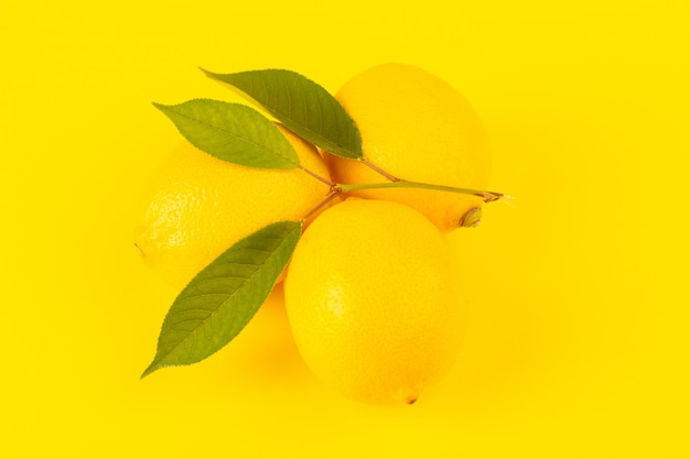 A front closed up view yellow fresh lemons fresh ripe with green leaves isolated on the yellow background