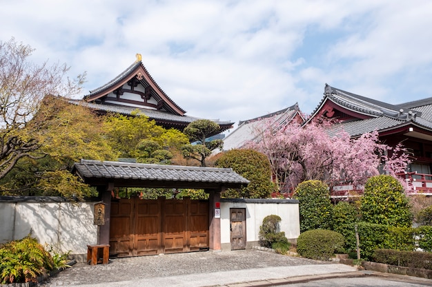 일본식 사원 앞