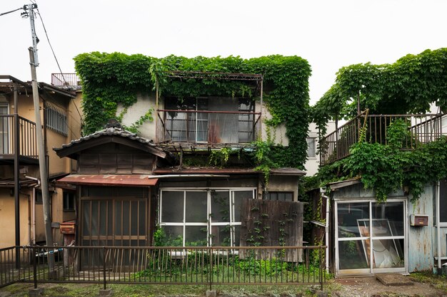 Front view abandoned house with plants