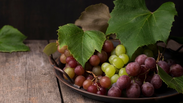 Front view assortment of autumn fruits