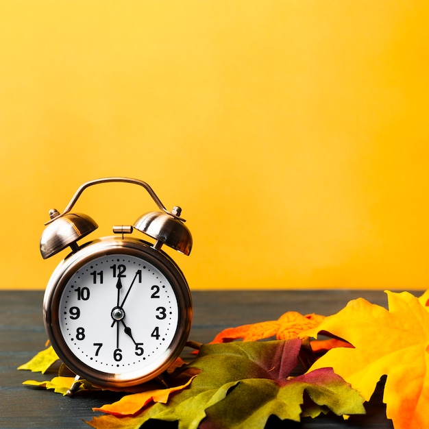Foto gratuita decorazione di autunno di vista frontale con fondo giallo