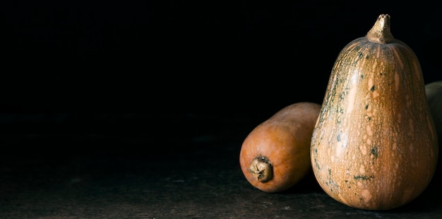 Front view of autumn squash with copy space