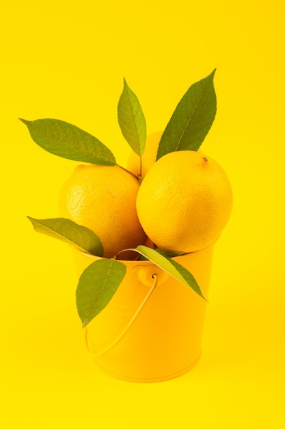 黄色の背景の柑橘系の果物の色に分離された緑の葉で熟したレモン新鮮な正面バスケット