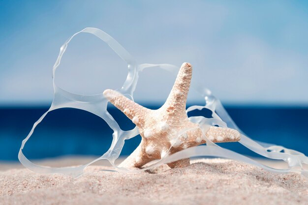 Front view of beach with starfish and plastic