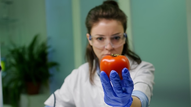 Front view of biologist reseacher woman analyzing pepper injected with chemical dna for scientific agriculture experiment. Pharmaceutical scientist working in microbiology laboratory