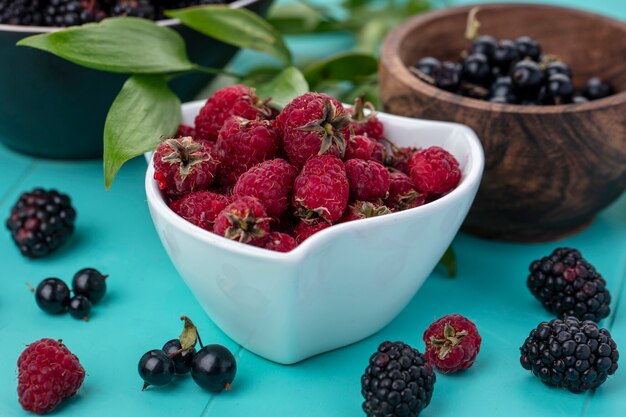 Front view of black currant with blackberries and raspberries in toes on a light blue surface