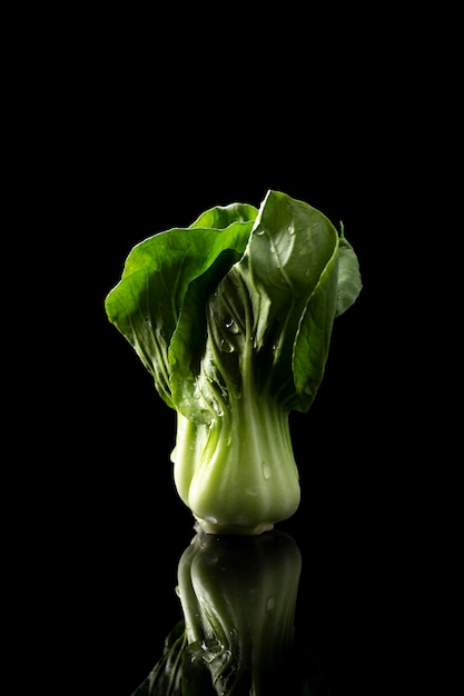 Free photo front view bok choy