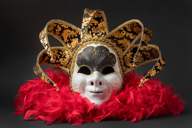 Карнавальная маска с перьями, вид спереди