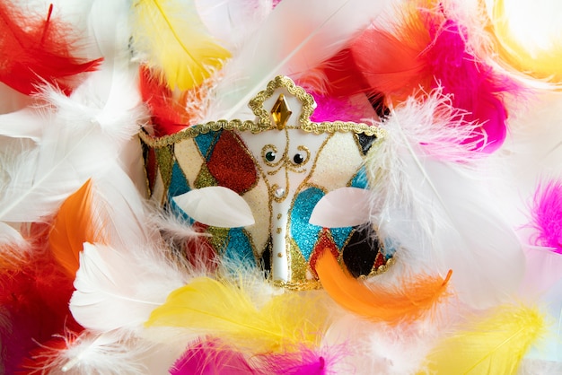 Front view of a carnival mask