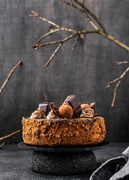 Front view of chocolate cake on stand with copy space