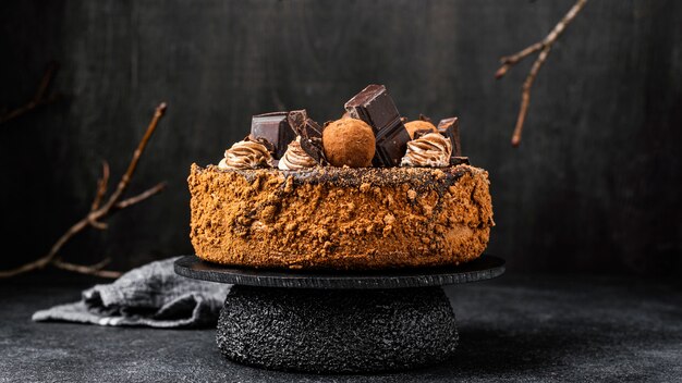 Front view of chocolate cake on stand