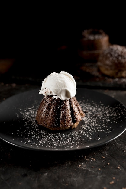 Front view of chocolate cake with ice cream