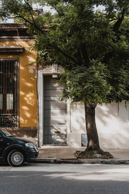 Front view of city house with car and tree