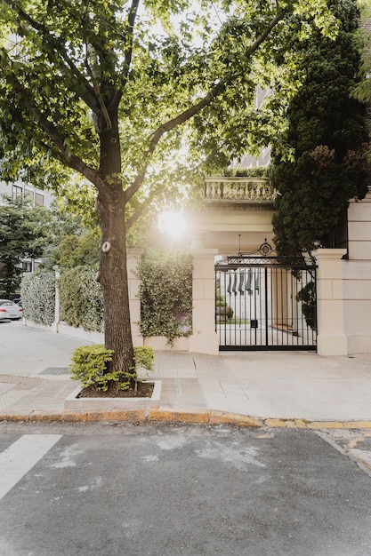 Foto gratuita vista frontale della strada della città con albero e ingresso dell'edificio