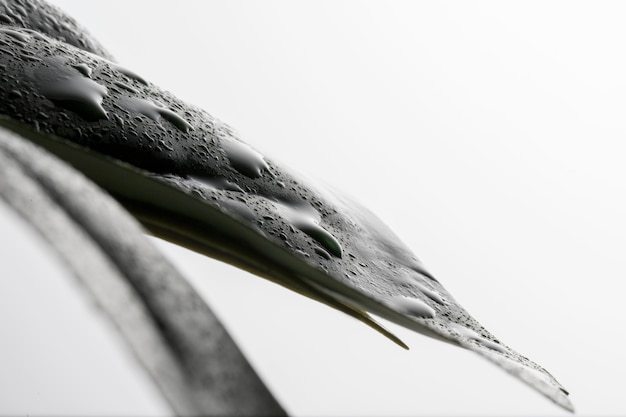 Free photo front view of clear liquid drops on leaf