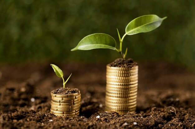 Front view of coins stacked on dirt with plants