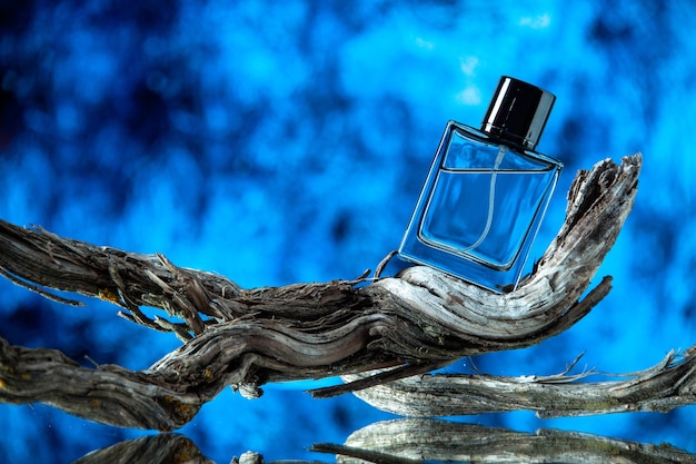 Front view of cologne bottle on rotten tree branch on blurred blue background