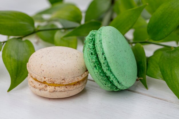 Front view of colored macarons with a branch of leaves on a white surface