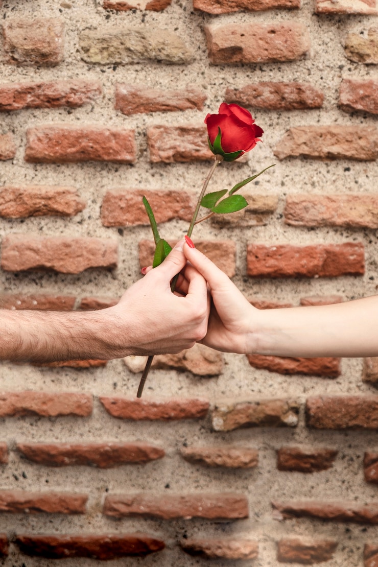 Free Photo front view of couple hands sharing a rose