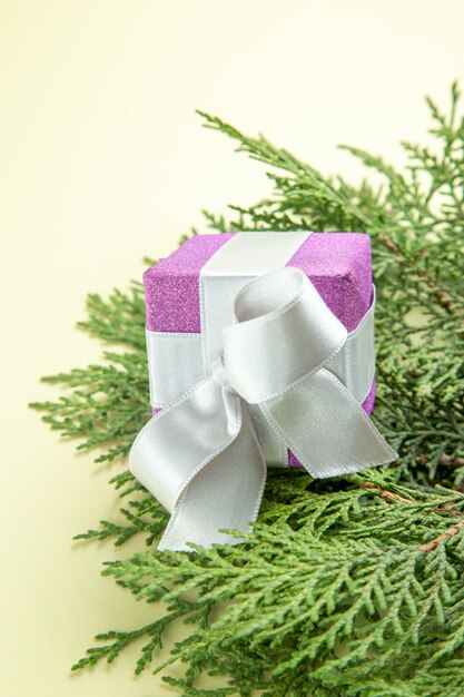 白いテーブルの上の緑の枝と正面図かわいい小さなプレゼント