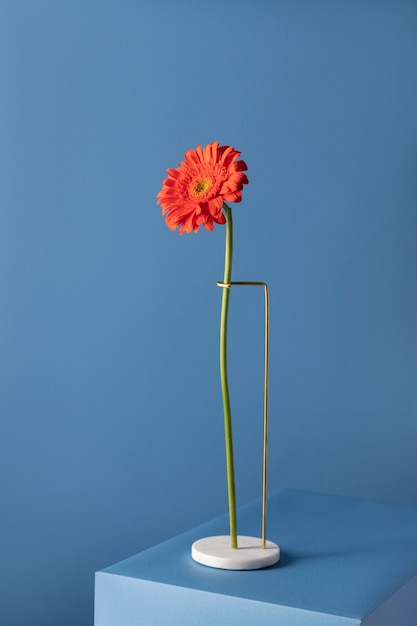 Free photo front view of daisy decor on a marble stand