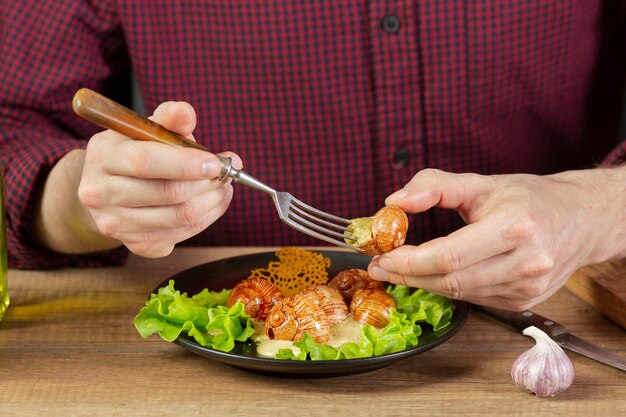 Front view of delicious food arrangement