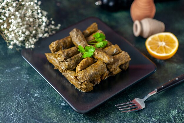 Front view delicious leaf dolma with seasonings on dark background