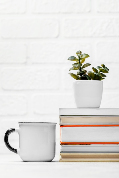 Front view of desk with stacked books and mug