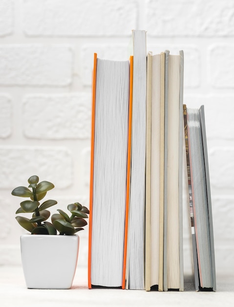 Free photo front view of desk with stacked books and plant