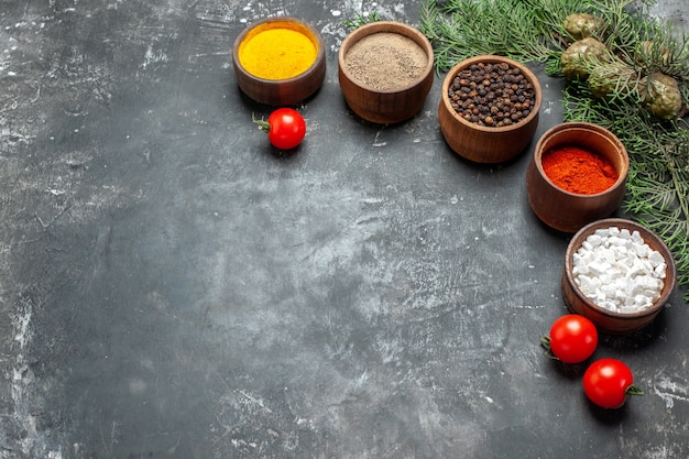 Free photo front view different seasonings with tomatoes on grey table