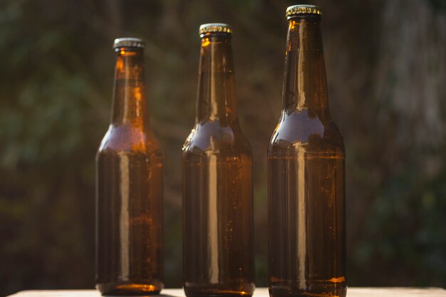 Front view different size of beer bottles aligned on table