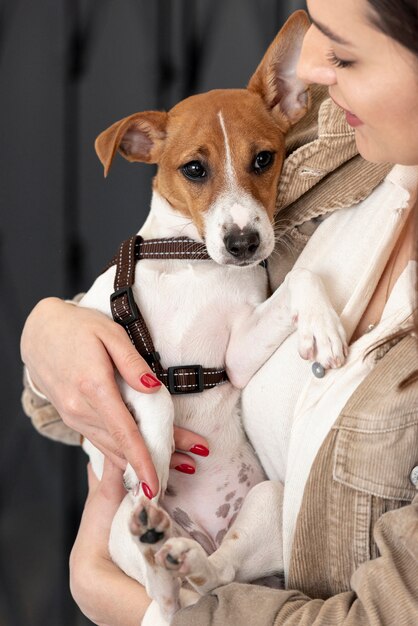 Front view of dog held in arms by woman