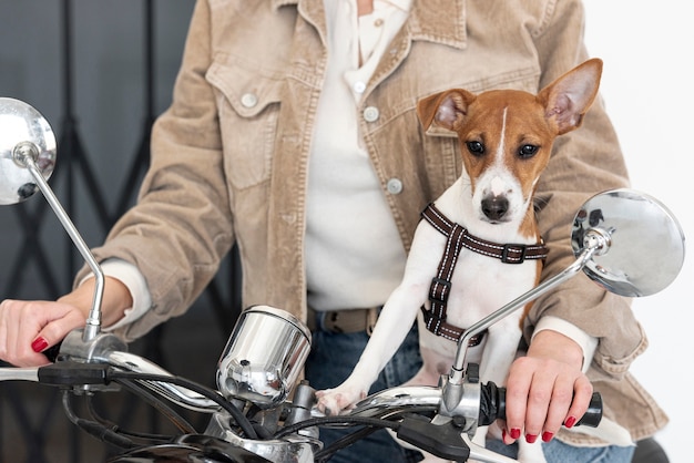 Foto gratuita vista frontale del cane e della donna sul motorino