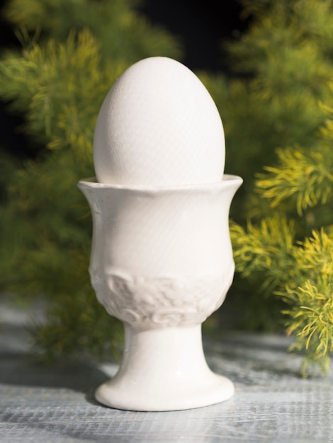 Free photo front view of egg in holder with greenery behind