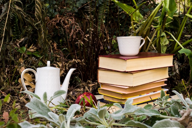 Front view fall season arrangement with books and tea pot