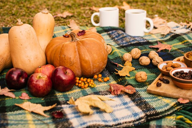 Front view fall season meal on picnic blanket 