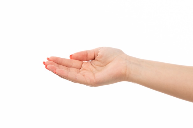 A front view female hand with colored nails raised hand on the white