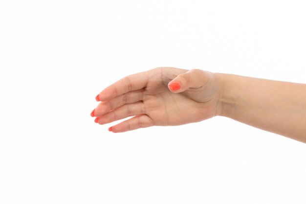 a front view female hand with colored nails raised hand on the white