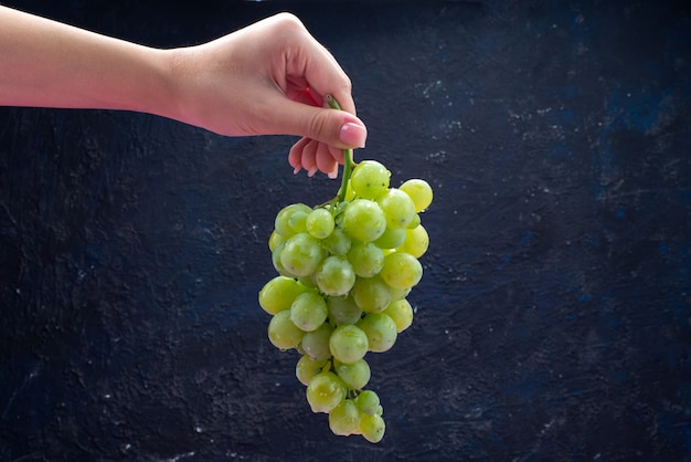 Front view female holding grapes on dark-blue