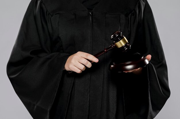 Justice Hub Chronicles Unveiled