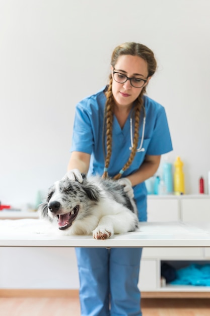 Free photo front view of female veterinarian examining dog on table