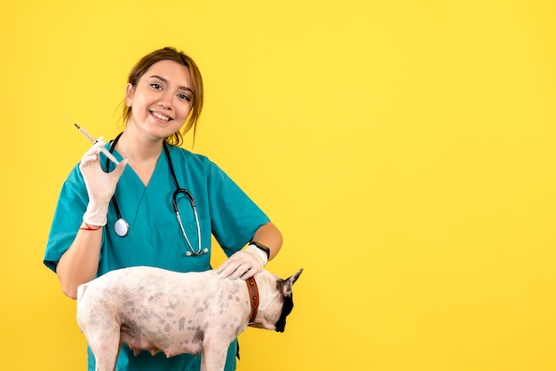 Free photo front view of female veterinarian injecting little dog on yellow wall