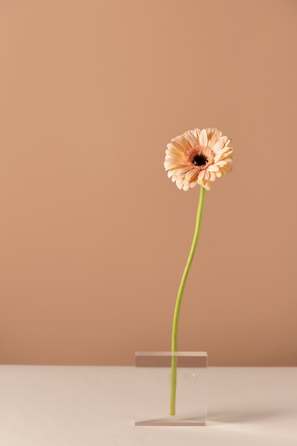 Front view of flower decor in a transparent stand