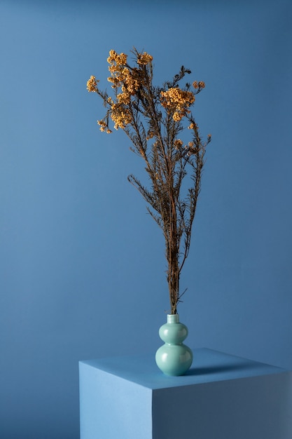 Front View of Flower in a Vase – Free Stock Photos
