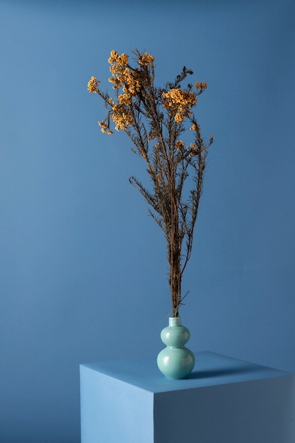 Front view of flower in a vase