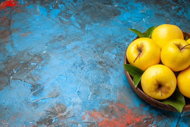 Foto gratuita vista frontale mele fresche all'interno del piatto su sfondo blu dieta foto dolce colore salute maturo gustoso spazio libero